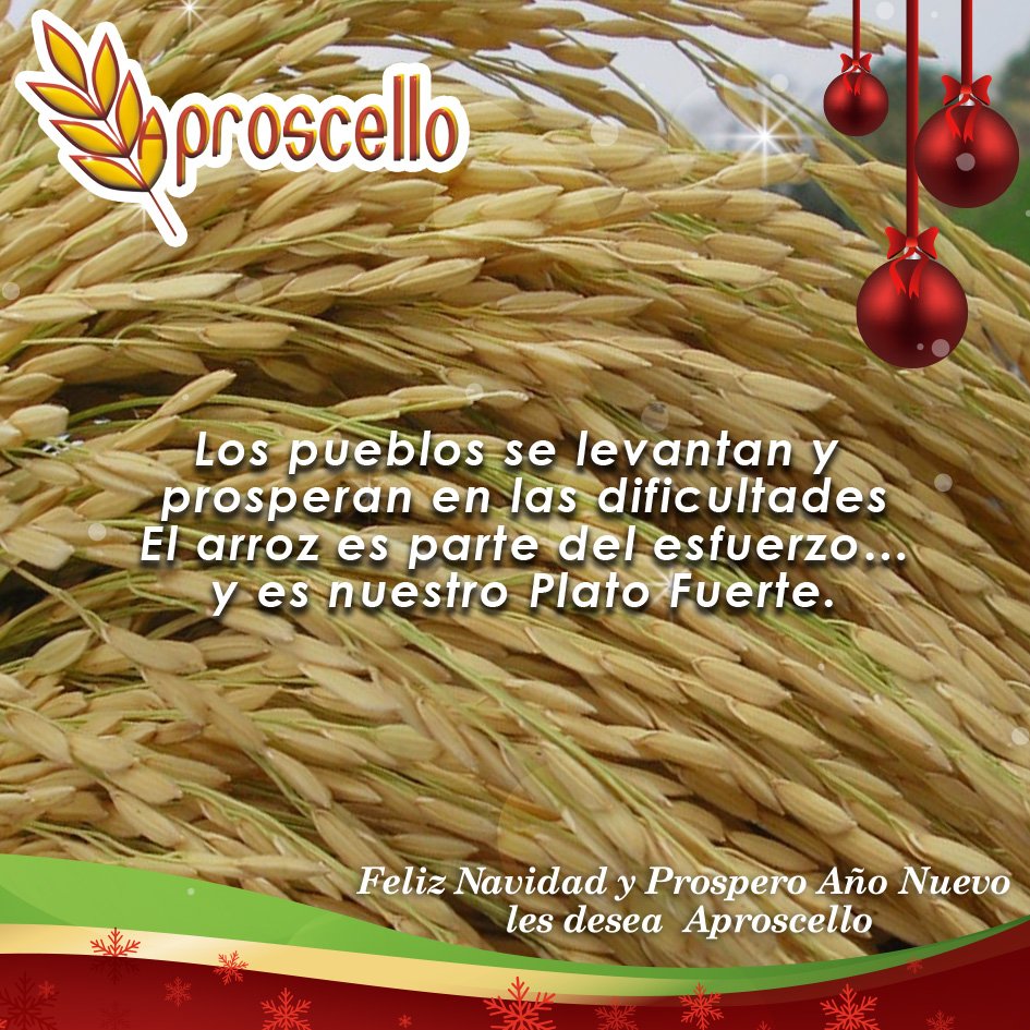 Aproscello (@aproscello) on Twitter photo 