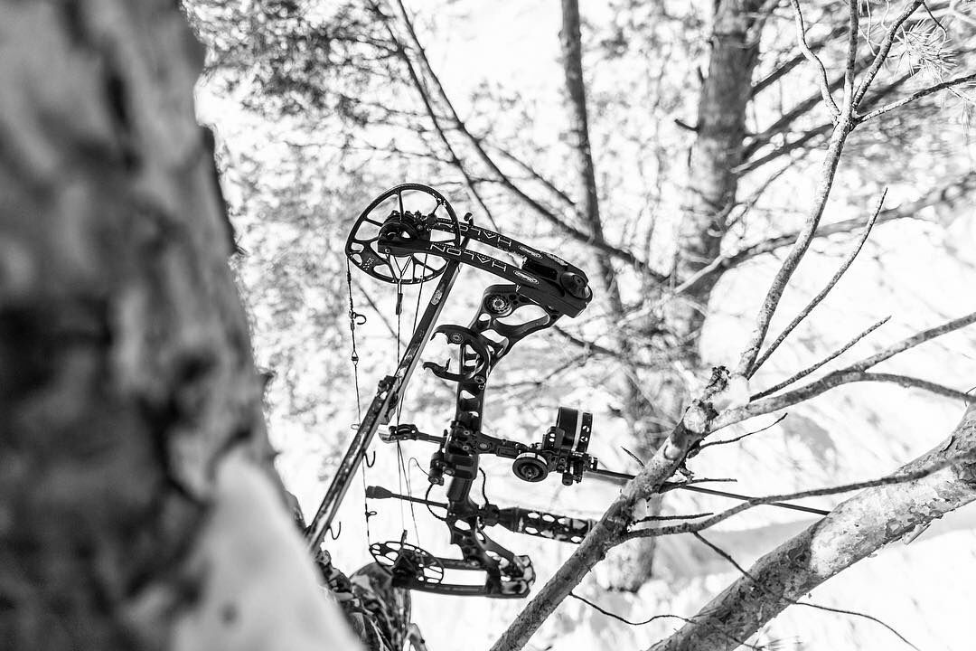 QuiverApp on Twitter ""The life of a tree stand hunter." PC