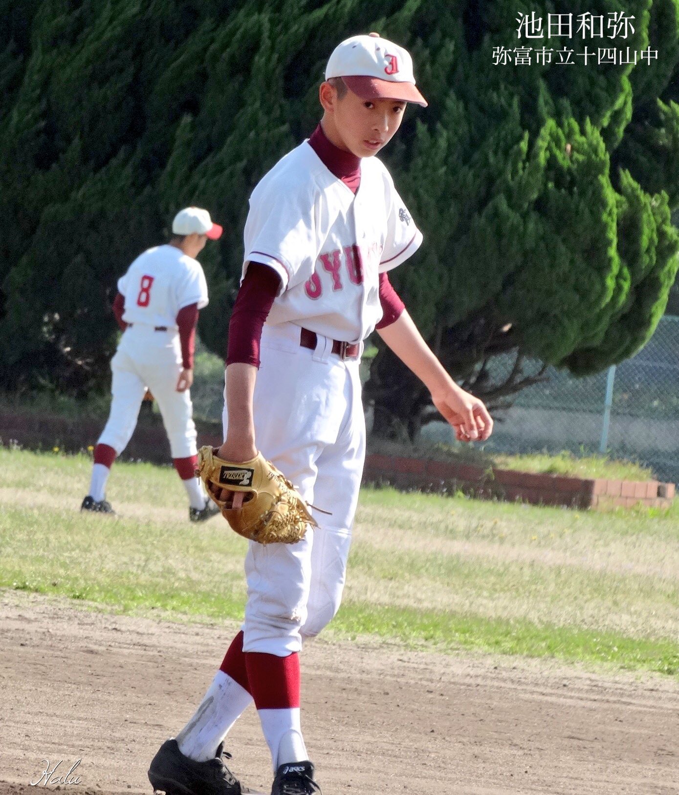 HALUHI@高校野球・中学野球 on X: 