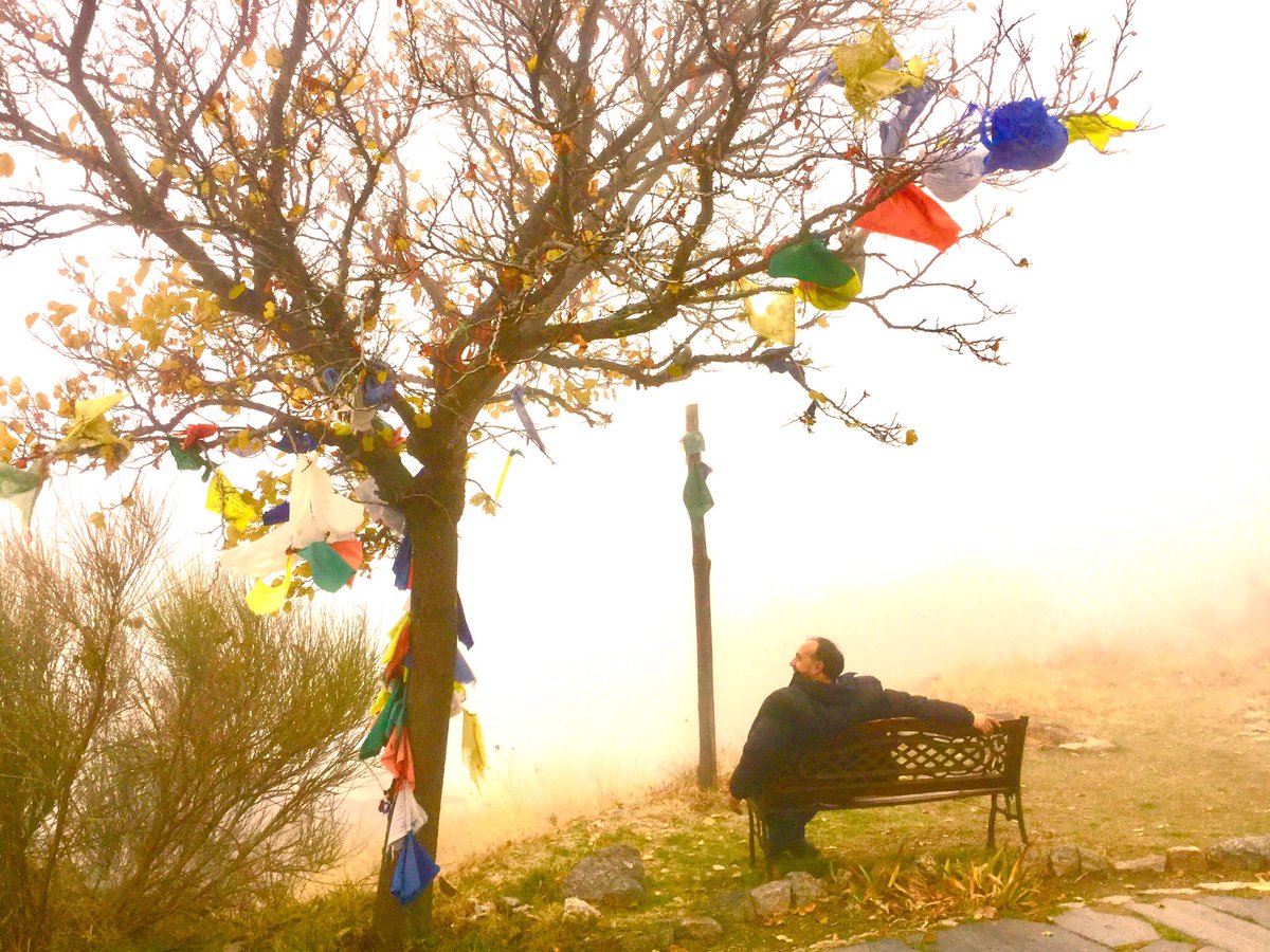Los días de niebla a veces son los que tienen más luz