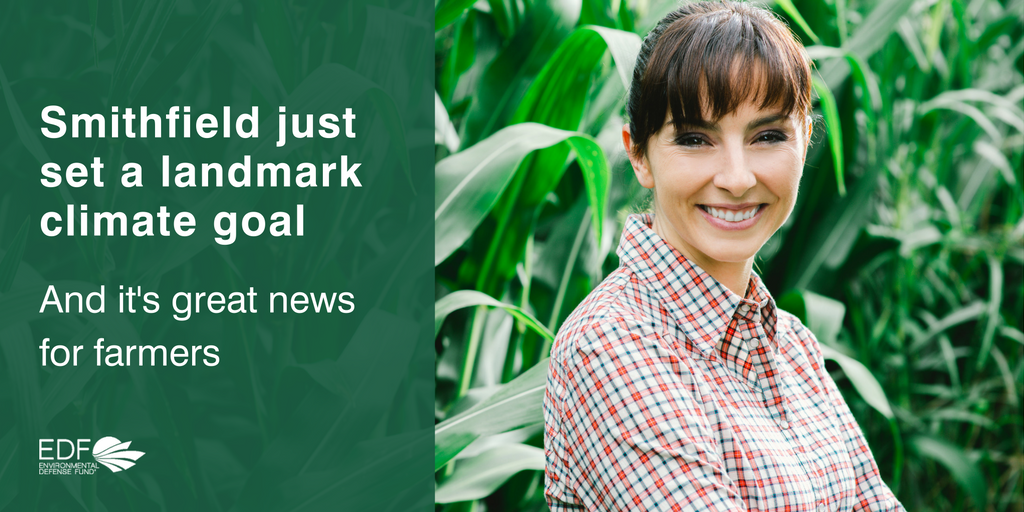 Smithfield Foods (SmithfieldFoods) Twitter