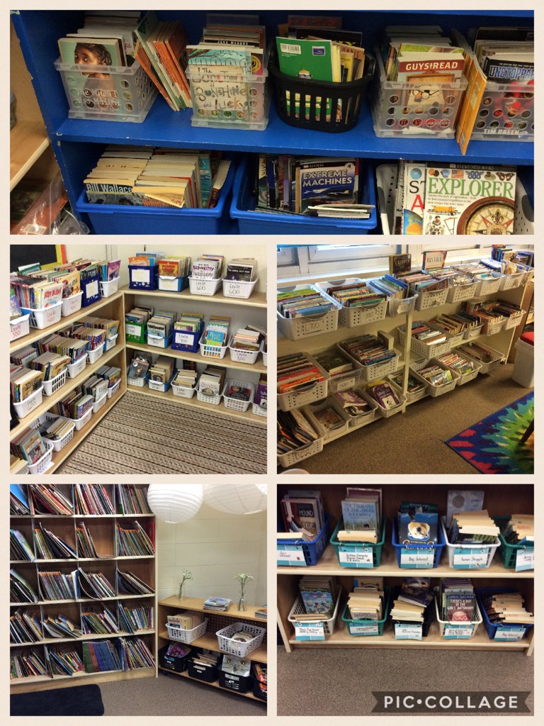MissStone12's tweet photo. Classroom Library ideas. Organize by topic and level! #essd40pd https://t.co/PwEoqDn7u2 https://t.co/lV030TYEq7