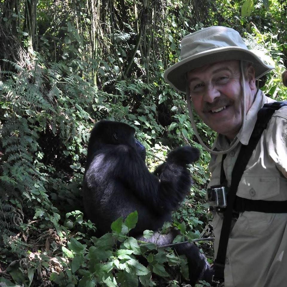 It's a hard life, but someone has to do it! #MountainGorilla