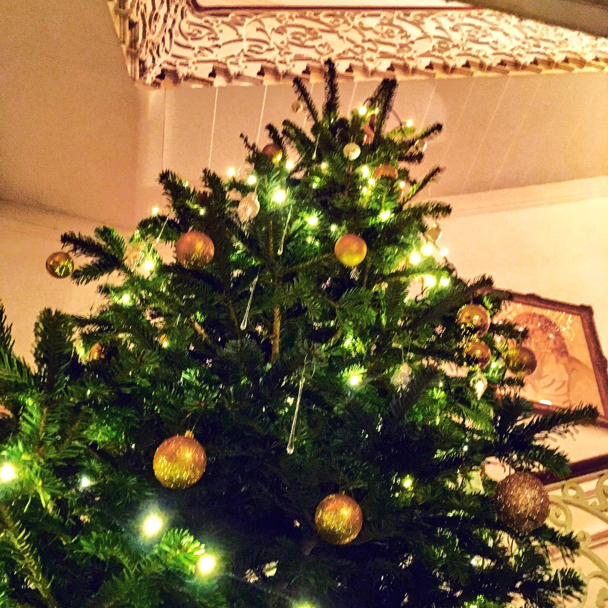 MHildebrand92's tweet photo. Rehearsal home looking so beaut and festive @ognisko_polskie! Thanks for hosting us #ChekhovCrew #TheSeagull #WhatIsThatTree #ChristmasVibes https://t.co/GVEd92s9bd