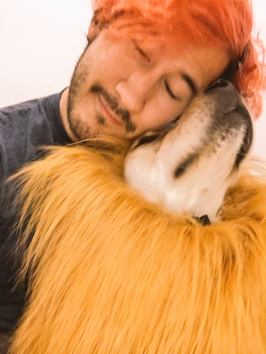 markiplier's tweet image. Help! I&apos;m beating attack by a lion!