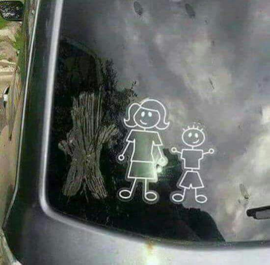 Acho que minha vizinha se separou... 🤔