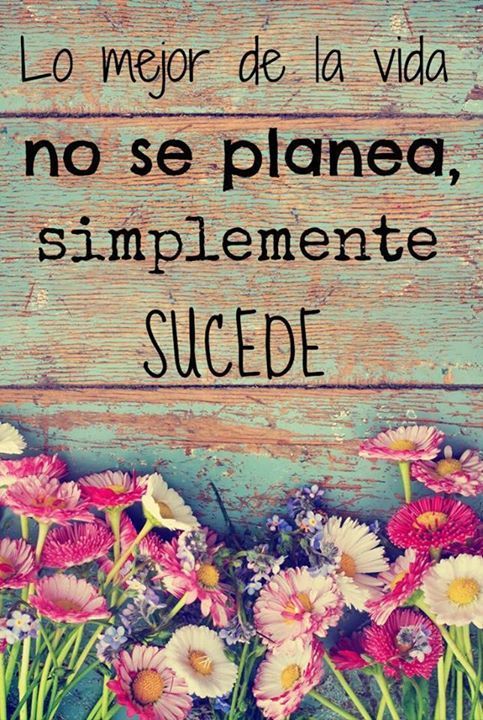 LolitaBruno1's tweet photo. #Simplementesucede https://t.co/QZLzxMlTeX