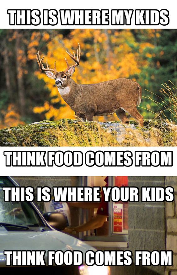 ohpto's tweet photo. Where do your #children think #food comes from? #foodforthought #ohpto #adamscountyohio #deerhunting #huntingseason #parentingdoneright https://t.co/7E0XXtJOAe