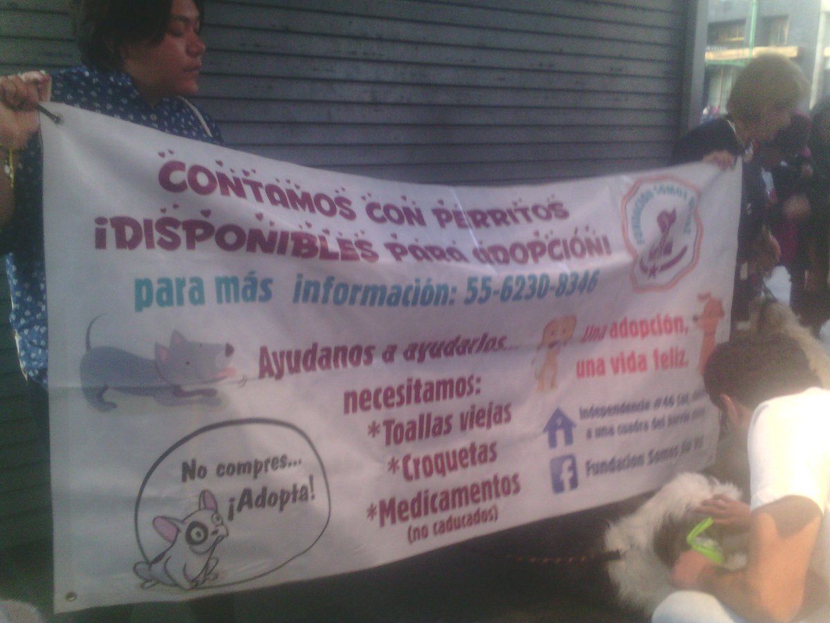 coder_yudit's tweet image. Ayudemos a los perritos de la calle