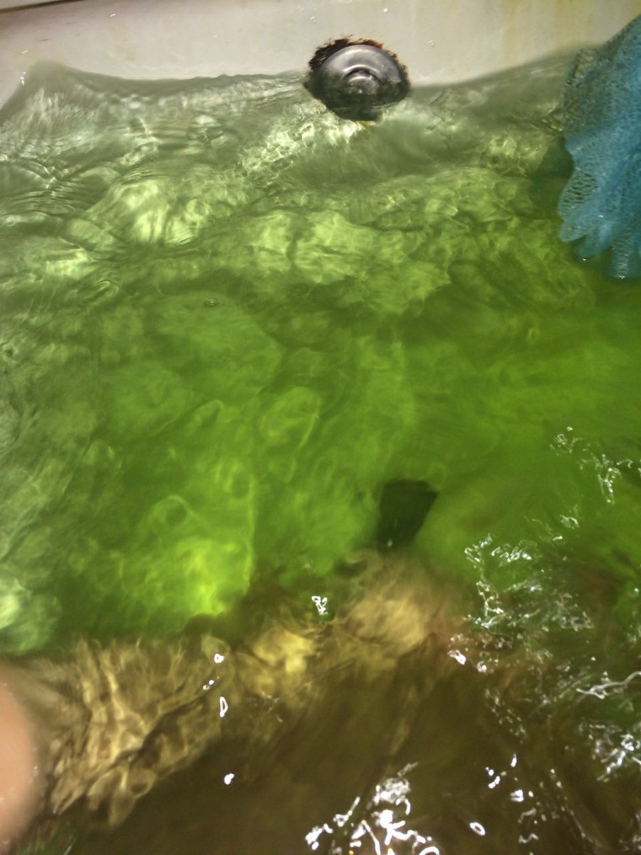 BIGwow (@jackftbam) on Twitter photo 