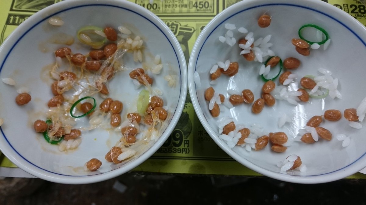 供え 食品サンプル 納豆 econet.bi
