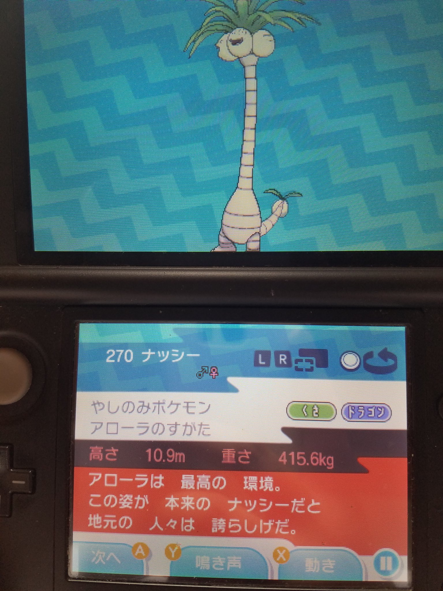 うろ覚え 嫁ポケキター 会いたかったよぉぉ 初代の頃に更に輪をかけたキチガイデザインとスマイル最高だ 麻痺弱体化 草に粉技 無効 音技貫通等身代り弱体化 宿り木草に無効とか 世代が進む度になぜか弱体化された俺のオボン収穫ゾンビナッシーの思い出が