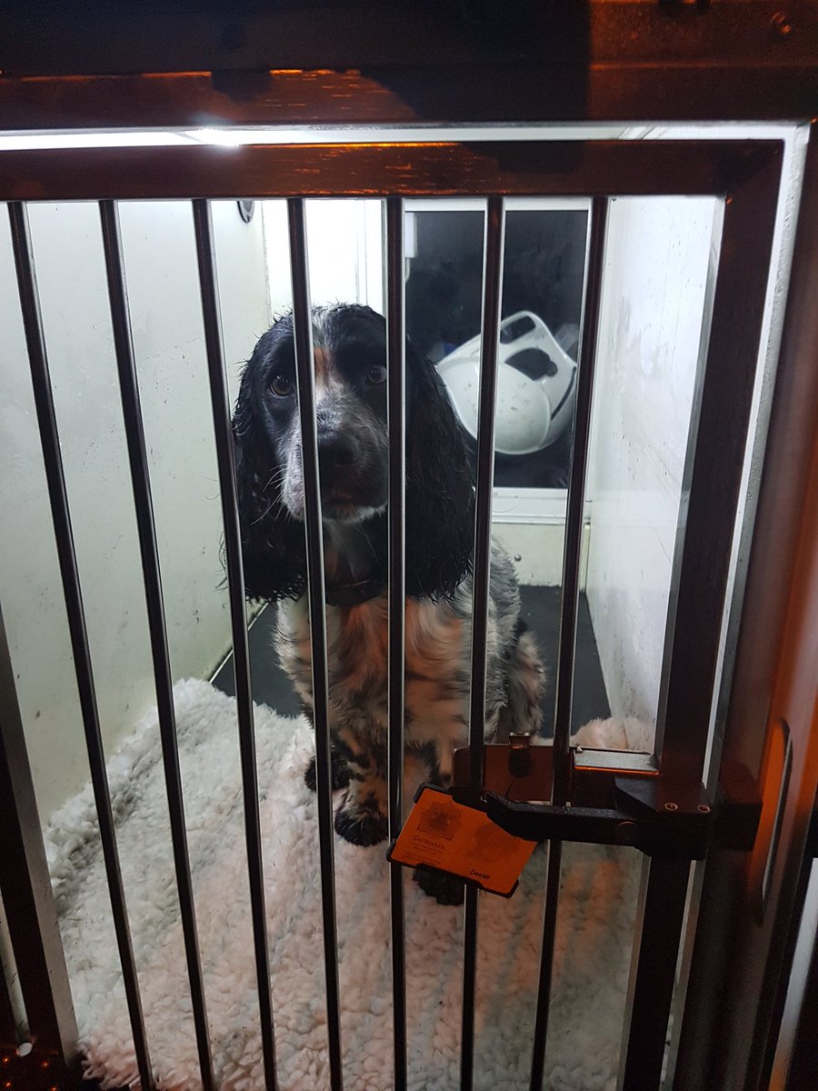 MidsDog's tweet image. Good job Dexters keen currently assisting @DerbyshireFRS and @PaulHawker1 with an incident in Buxton