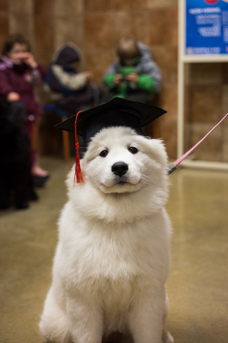 I #love my #education. I'm a #smart cookie!