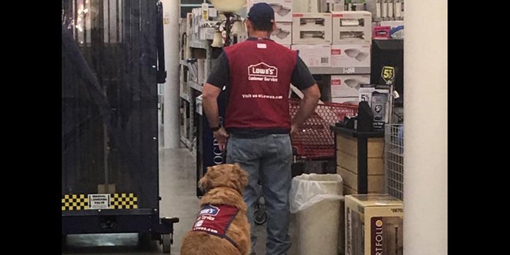 people's tweet photo. Texas Lowe’s store hires unemployed disabled veteran — and his service dog https://t.co/pFinwv7TSr https://t.co/8vDHfwEL7f