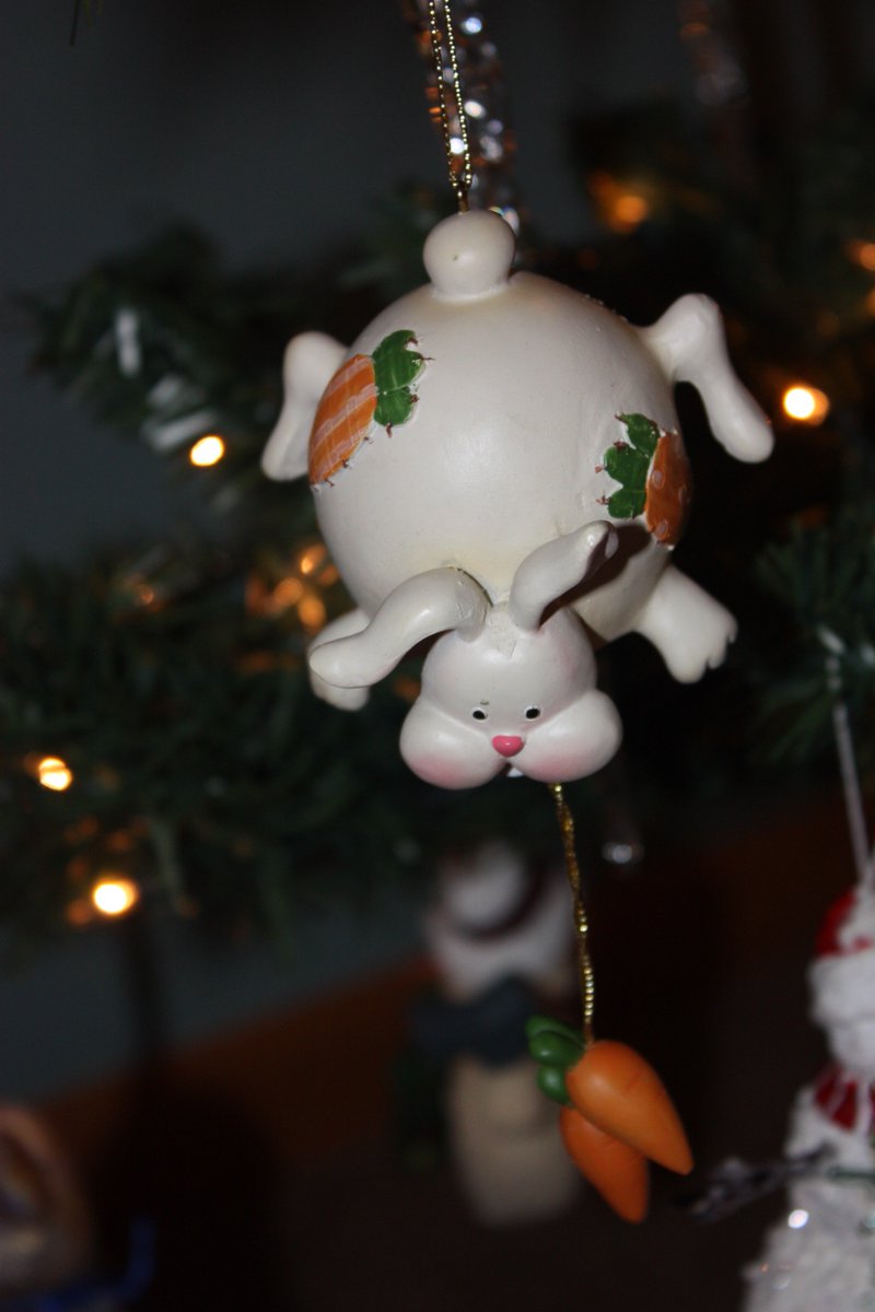 Thump_Bolt's tweet image. Day 6:  Some of these ornaments we just don't quite understand #bunnyornaments #RabbitsofChristmas