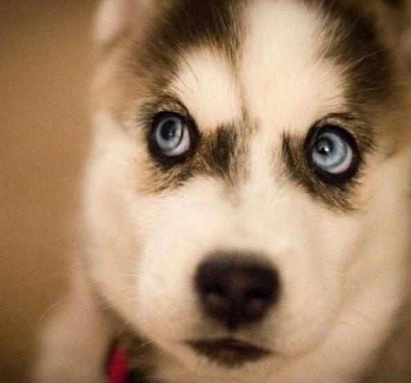 those #blue eyes