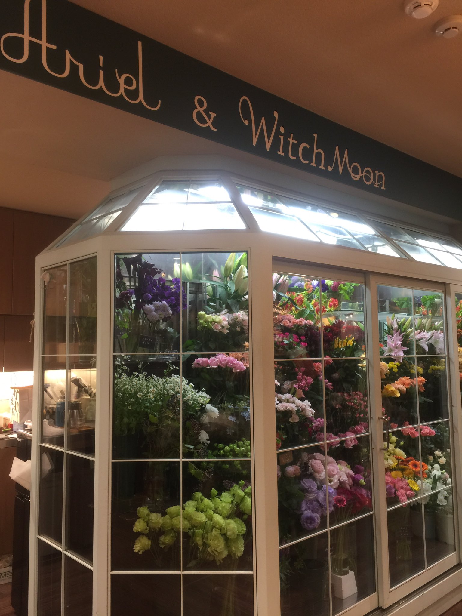 太田光代 お花屋さんのアリエル 六本木店を覗いたら クリスマスリースが華やいでたの クリスマスにお正月 全速力で来年が走ってきてる 私も速くしなくちゃ T Co Z40ayjetck Twitter