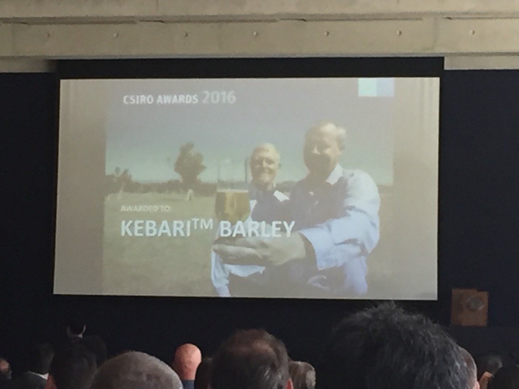 WalshDominica's tweet photo. Congratulations to the Kebari Barley team - winning the Chairman's Medal at #csiroawards https://t.co/dRtBNRUqTH