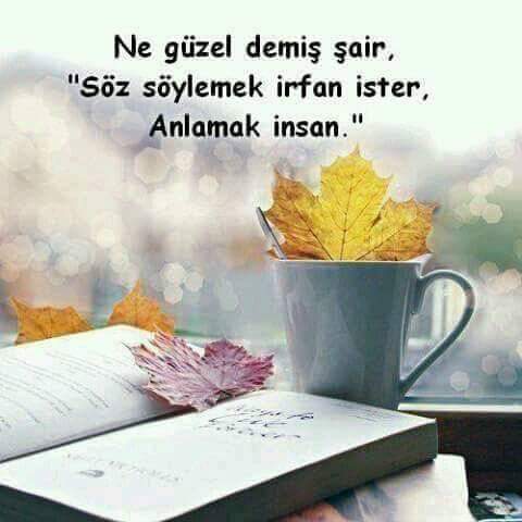 HdyAnk's tweet photo. Yoruma gerek yok! https://t.co/nnrA5fW0w2