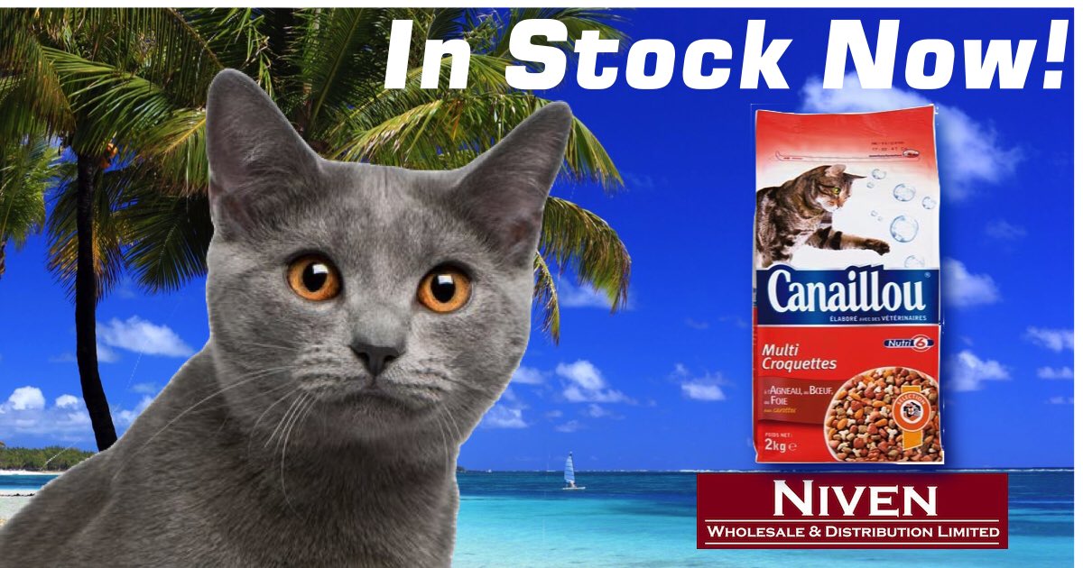 GMO free cat food now in stock