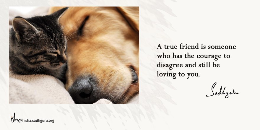 ishafoundation's tweet photo. #Sadhguru #SadhguruQuotes #friend https://t.co/cqqlVnsHmO