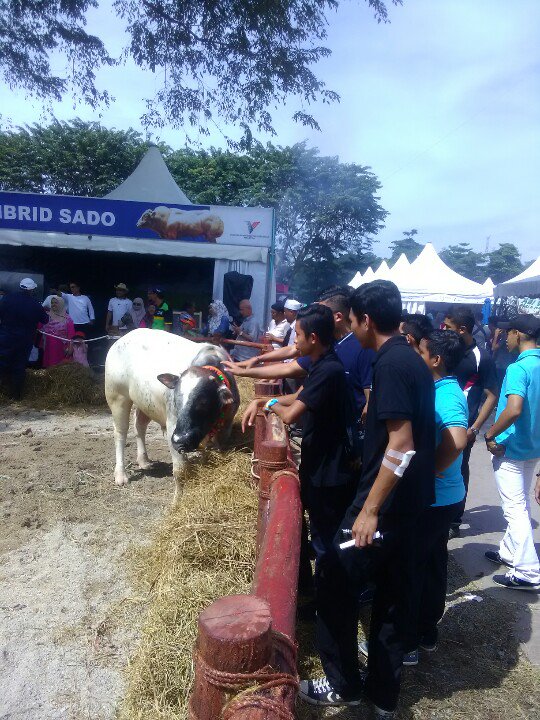 DrDeeMD's tweet photo. Pengunjung di #lamanternakan #lembusado #maha2016 https://t.co/OnB1TYw5c2