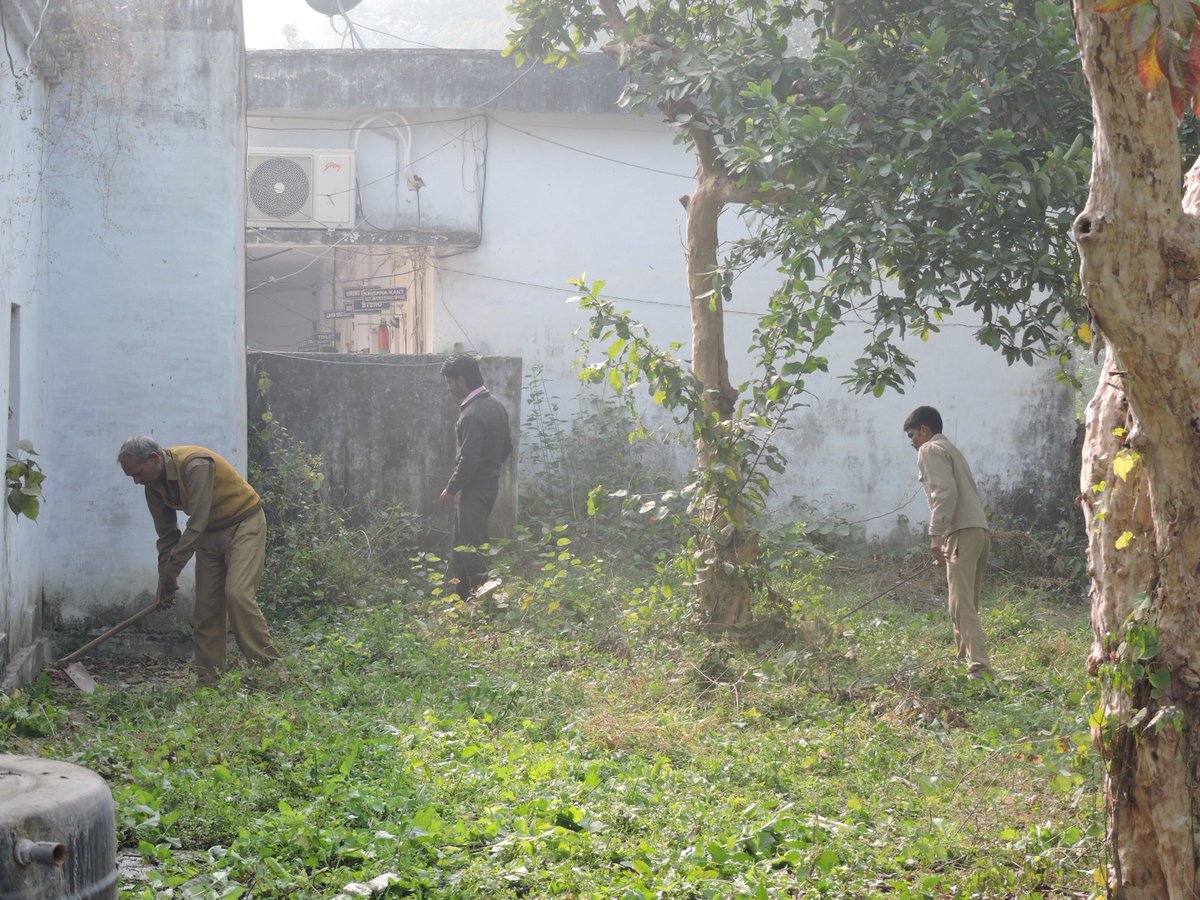 DEO BAREILLY tweet media