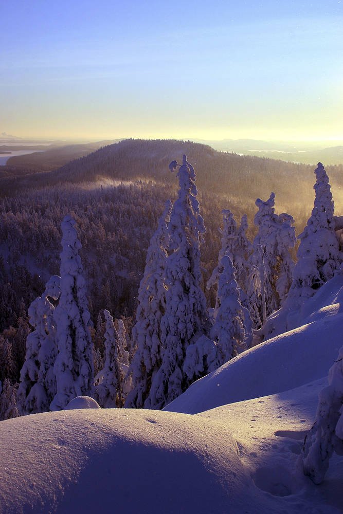 フィンランド政府観光局 国立公園 の話題を出すと ほとんどのフィンランド人がコリ国立公園のウッコ コリの丘の頂上からピエリネン湖を見渡す風景を思い浮かべます この風景は フィンランドでもっとも愛される国を象徴する風景で たくさんの芸術家が