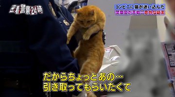 警察官が猫を尋問しネット民メロメロ 密着警察24時 が話題 16年12月8日 エキサイトニュース