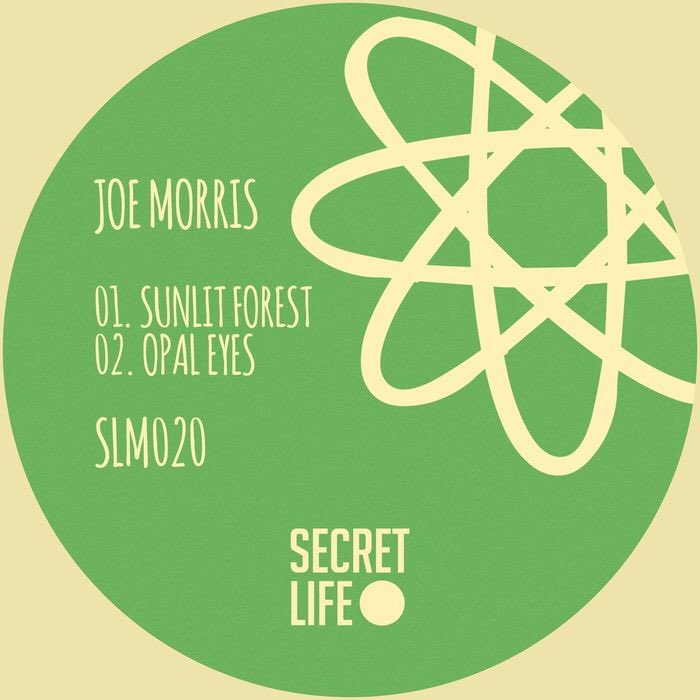 My new release is out this week on @SecretLifeMusic. 🌴🌅