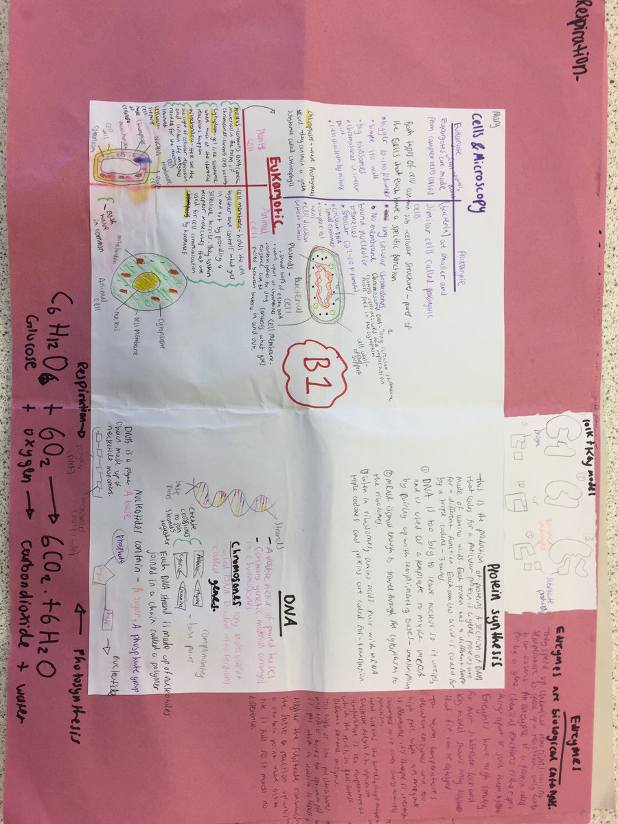 HHSMsGoulding's tweet photo. Year 10 AFA today #studyskills https://t.co/w3TtQhFC5v