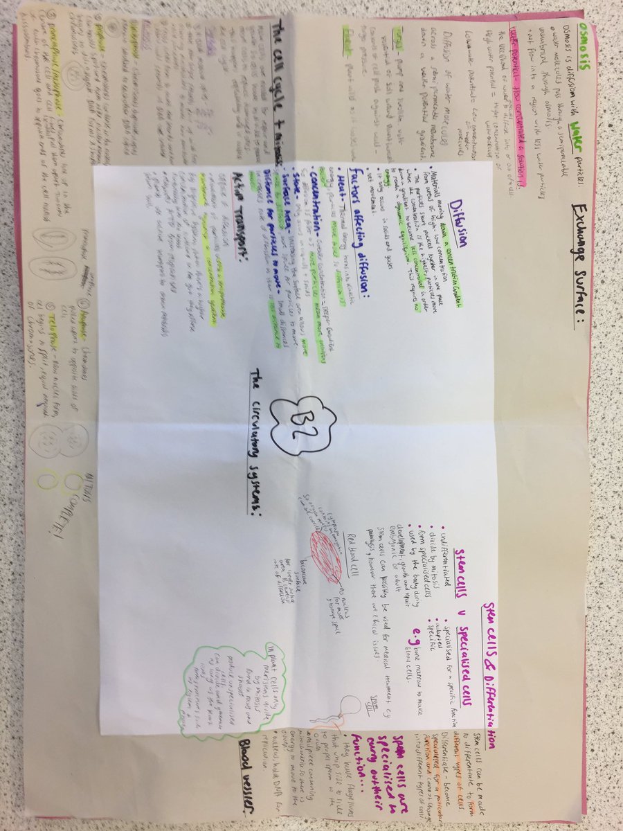 HHSMsGoulding's tweet photo. Year 10 AFA today #studyskills https://t.co/w3TtQhFC5v