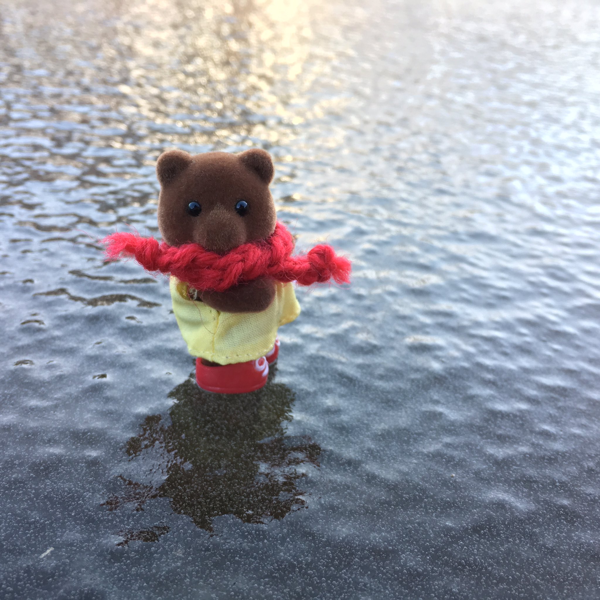 تويتر 青 على تويتر 池でスケート ティアドロップクマちゃん シルバニア T Co Knyyccizpk