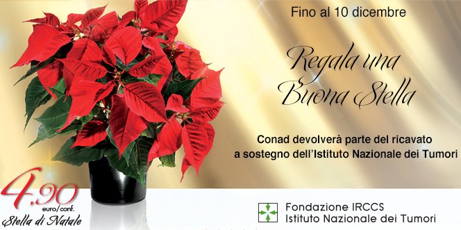 Stella Di Natale Conad.Conad On Twitter Regala La Stella Di Natale Conad Ci Aiuterai A Sostenere L Istituto Nazionale Dei Tumori Isttumori Un Piccolo Gesto Un Grande Impegno Https T Co F2tjdtjaqe