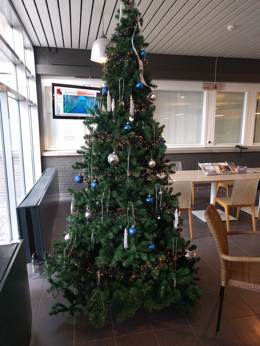 De kerstboom in de centrale hal van Sionsberg staat! #kerstsferen #boom #lampjes