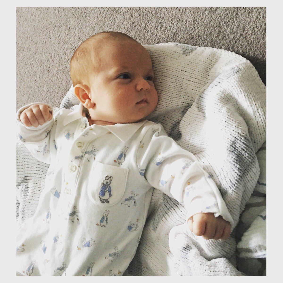 stephhaslam29's tweet photo. @thismorning Our gorgeous baby boy Stanley born 26/10/16 6 weeks today! #thismorning https://t.co/QbFt8qzNQw