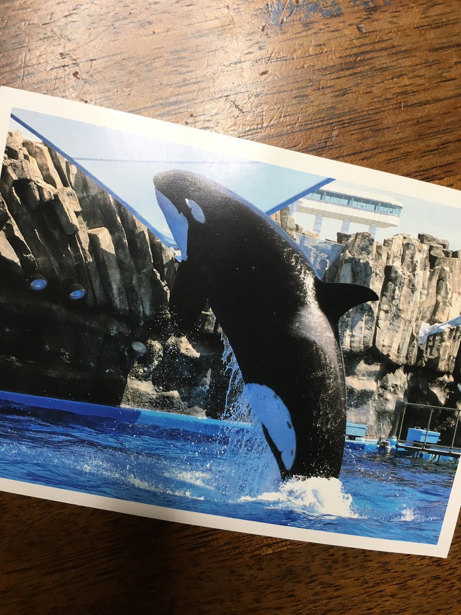 シャチ川 Wo2uhd Twitter