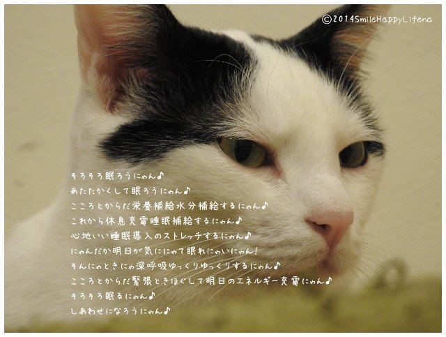 Twitterで画像を見る
