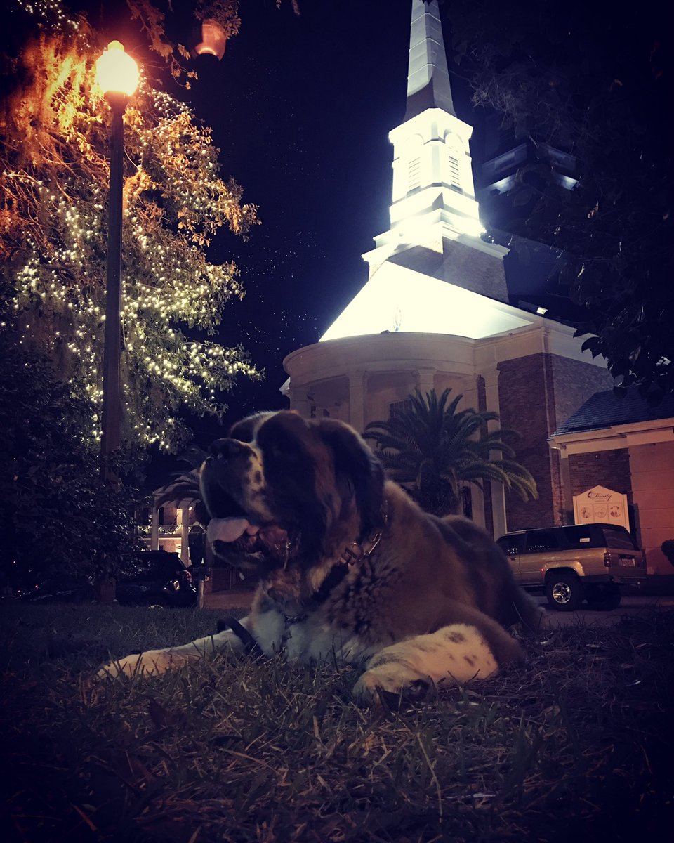 A little cool weather and a decked out downtown #Tallahassee always puts me in the #Christmas spirit!