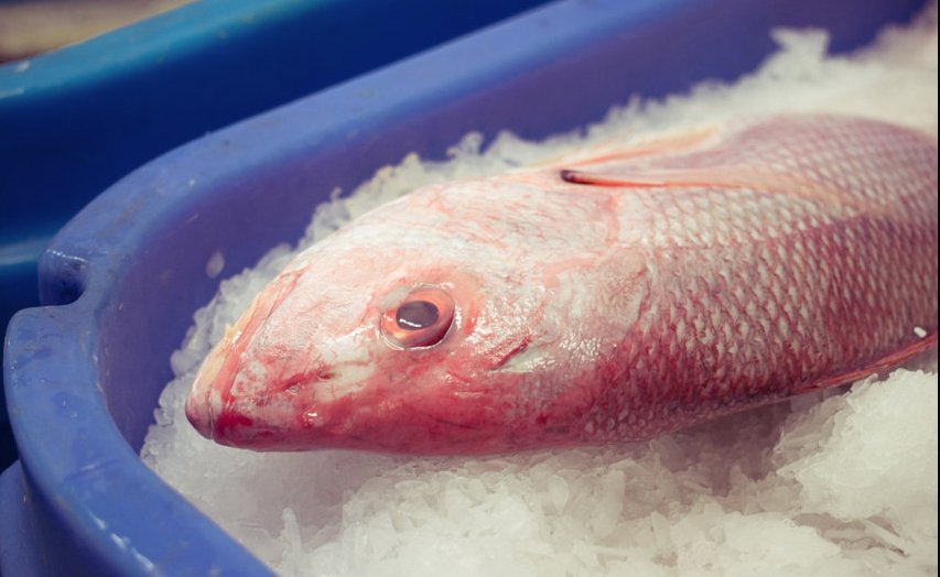 CTShellfish's tweet image. We have a host of specials right in time for the holidays!  Need a specialty item to change things up?.. just let us know! #fish #shellfish