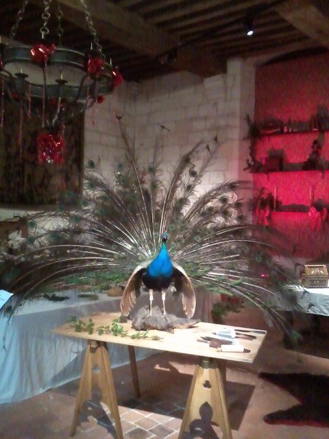 Loches, exposition "Un Noël Royal", jusqu'au 2 janvier. C'est joli, une table seigneuriale avec un Paon Revestu !