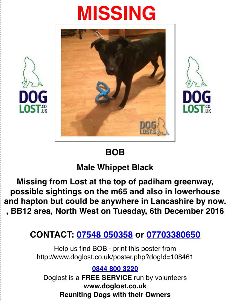 bethanyrawesx's tweet photo. Please retweet to help find my brothers dog, went missing yesterday in the rose grove area! #lostdog #burnley https://t.co/aKHga92SmD