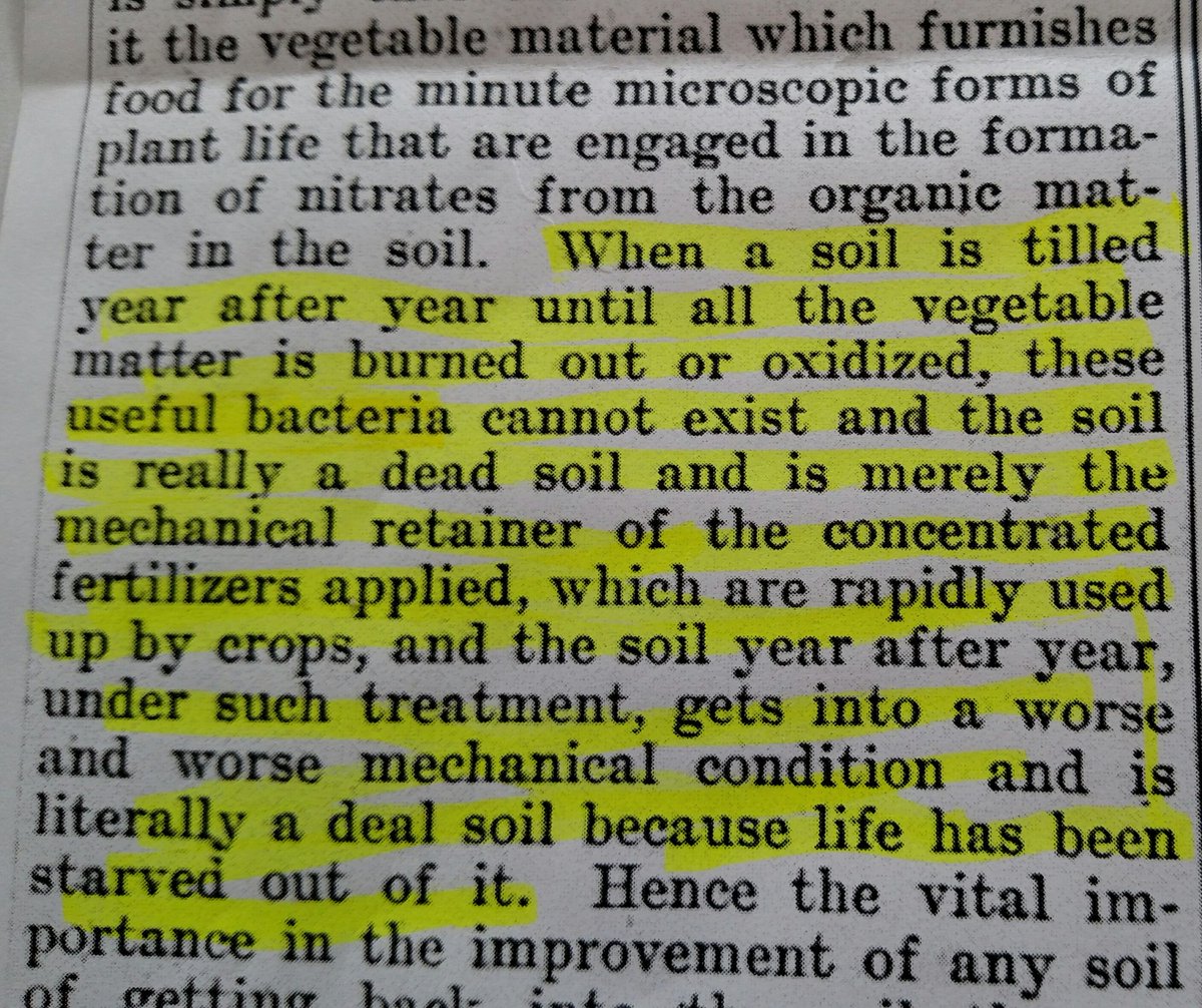 Rob Jones tweet media