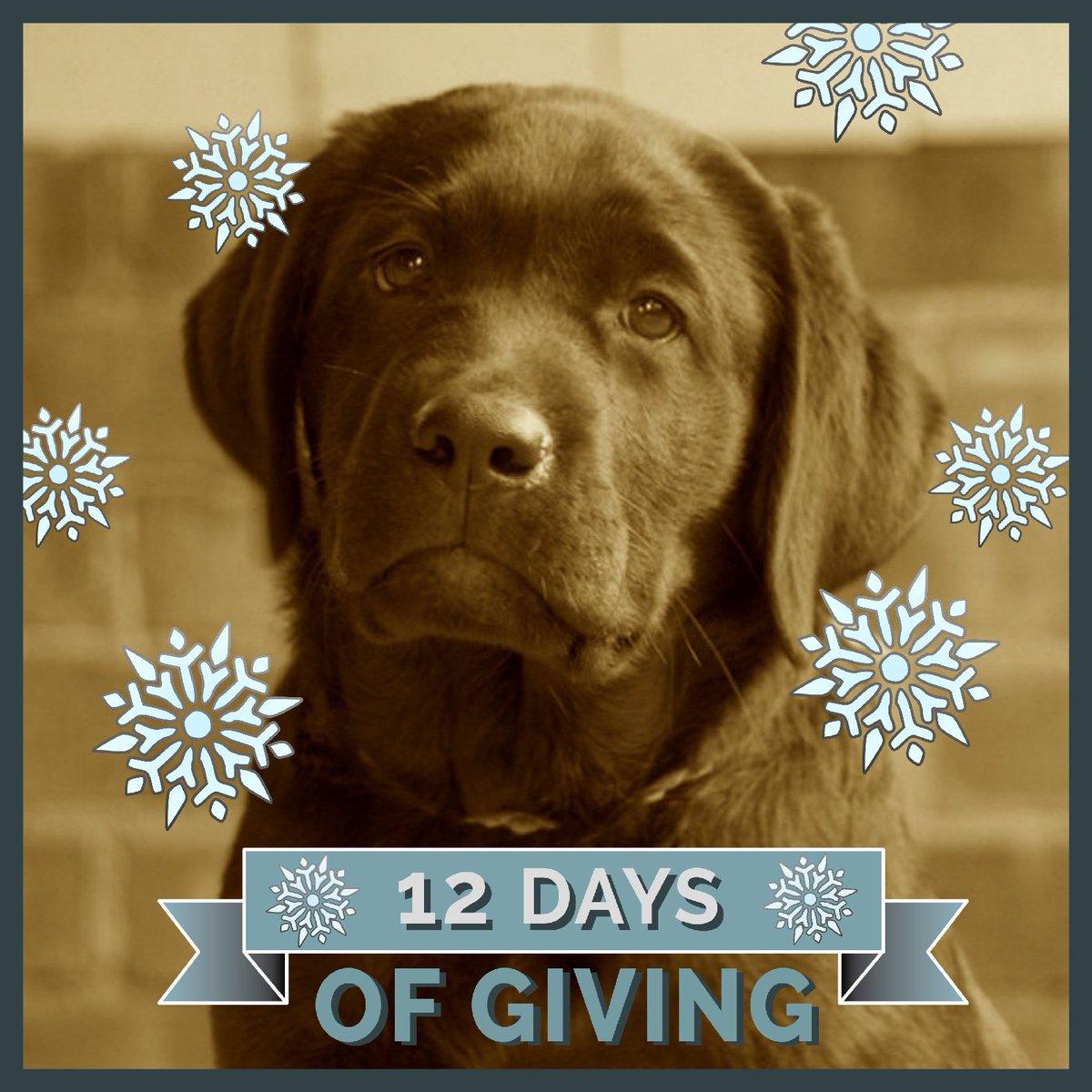 ADWSantaFe's tweet photo. Our mission would not be possible without generous loyal supporters. Give the gift of independence &amp; freedom: https://t.co/P2BNqsINps https://t.co/MWmbmRIeYa