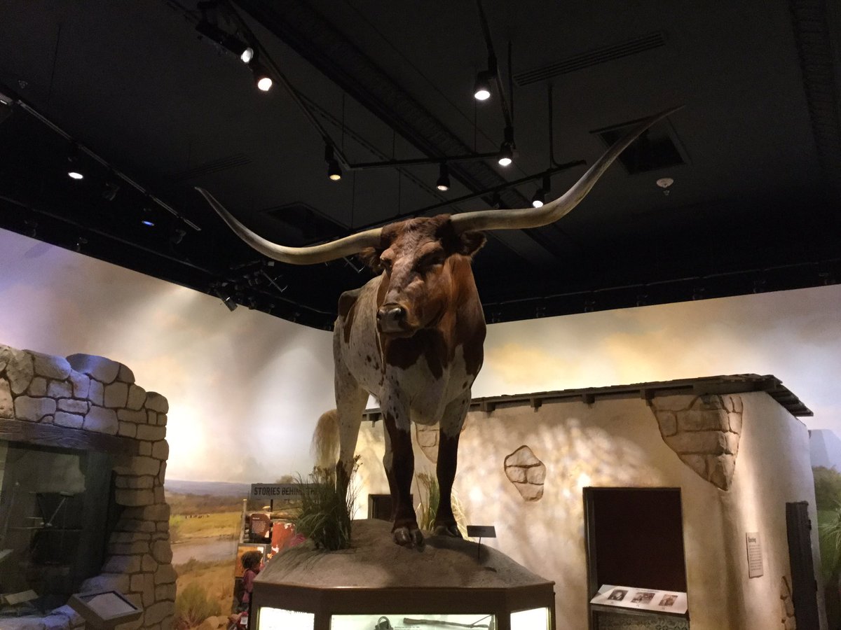 hirschi4th's tweet photo. Hook 'em! @WitteMuseum @NISDMireles #Bevos great-great grand pappy https://t.co/SOeOAfTqT5