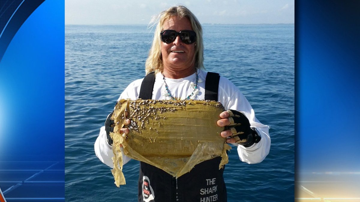 Famous fisherman hauls in kilo of cocaine off Miami coastline bit.ly/2hhmPAs https://t.co/jydThJC7Kw