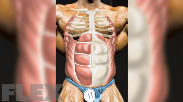 Abdominal training 101: bit.ly/1XalF6U