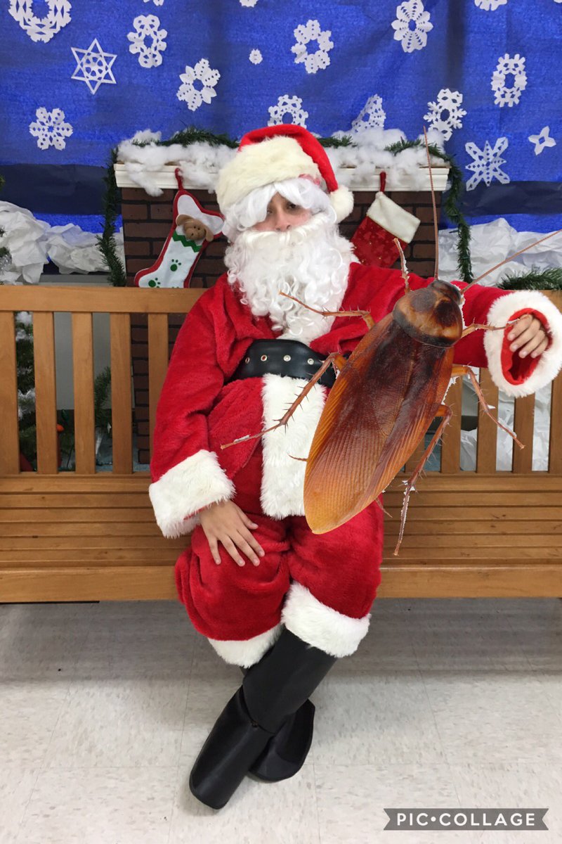 roaches support photo. i told santa i want fiesta stix for christmas