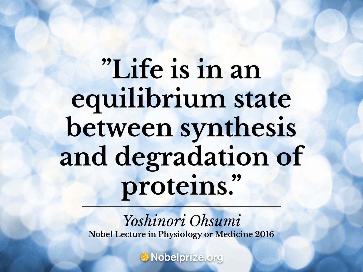 NobelPrize's tweet image. Yoshinori Ohsumi’s Nobel Lecture on autophagy (meaning “self eating”) going on right now! #NobelPrize 2016